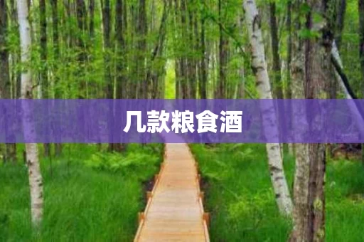 几款粮食酒