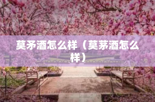 莫矛酒怎么样（莫茅酒怎么样）