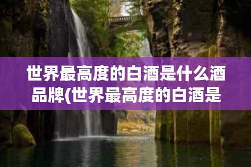 世界最高度的白酒是什么酒品牌(世界最高度的白酒是什么酒品牌排行榜)