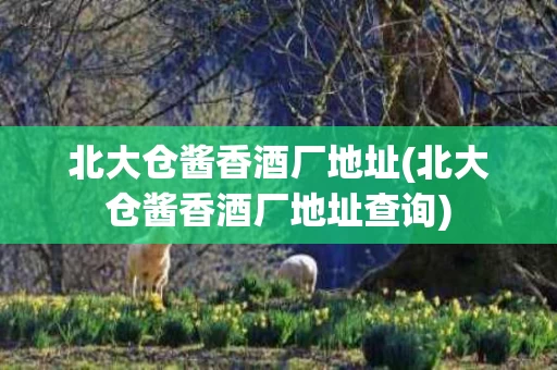 北大仓酱香酒厂地址(北大仓酱香酒厂地址查询)