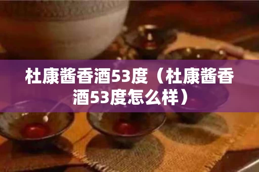 杜康酱香酒53度（杜康酱香酒53度怎么样）