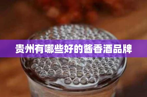 贵州有哪些好的酱香酒品牌