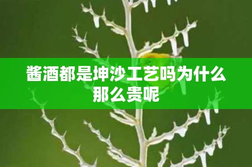 酱酒都是坤沙工艺吗为什么那么贵呢