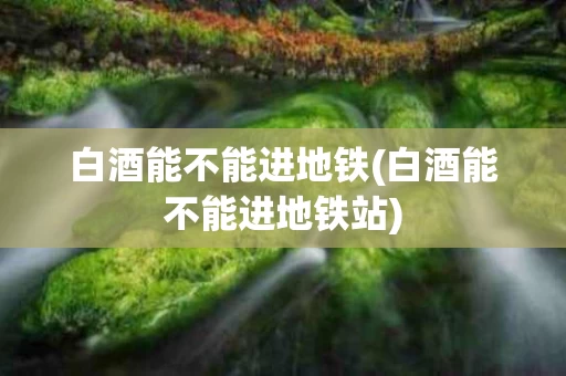 白酒能不能进地铁(白酒能不能进地铁站)