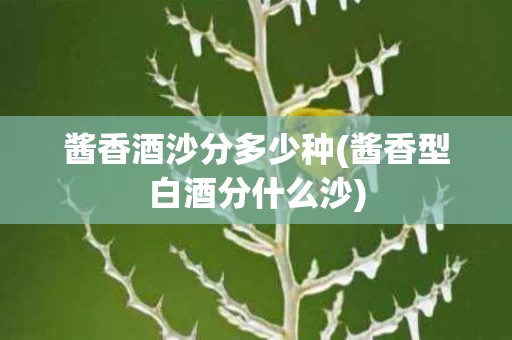 酱香酒沙分多少种(酱香型白酒分什么沙)
