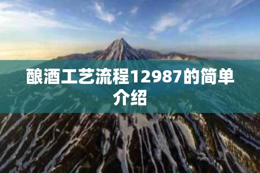 酿酒工艺流程12987的简单介绍