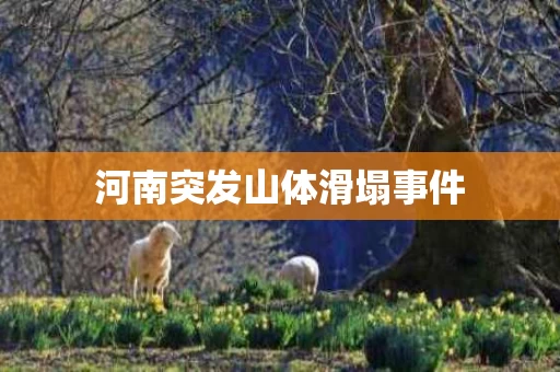 河南突发山体滑塌事件