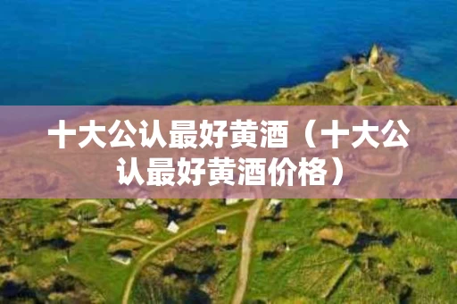 十大公认最好黄酒（十大公认最好黄酒价格）