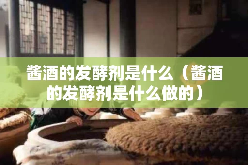 酱酒的发酵剂是什么（酱酒的发酵剂是什么做的）