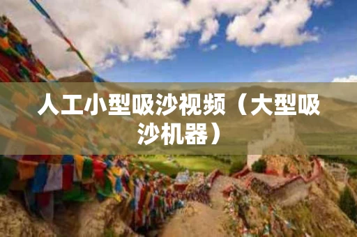 人工小型吸沙视频（大型吸沙机器）
