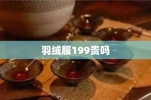 羽绒服199贵吗