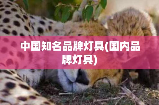 中国知名品牌灯具(国内品牌灯具)