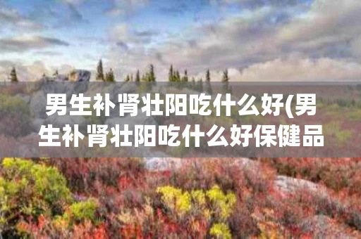男生补肾壮阳吃什么好(男生补肾壮阳吃什么好保健品)