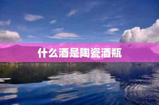 什么酒是陶瓷酒瓶
