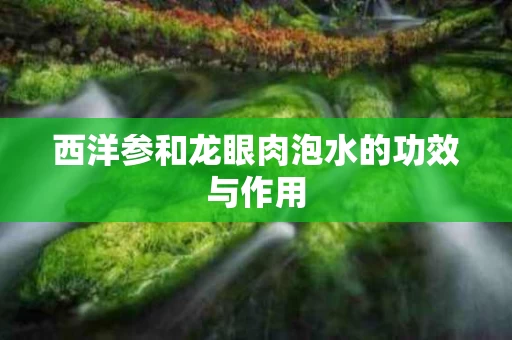 西洋参和龙眼肉泡水的功效与作用