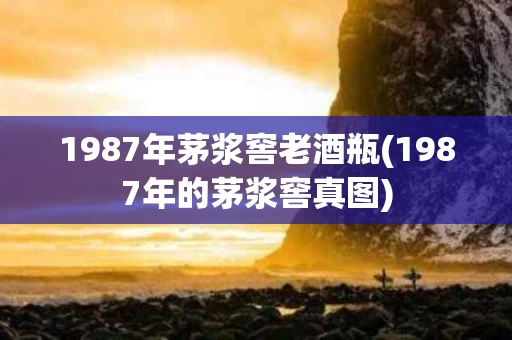 1987年茅浆窖老酒瓶(1987年的茅浆窖真图)