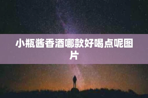 小瓶酱香酒哪款好喝点呢图片