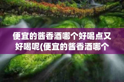 便宜的酱香酒哪个好喝点又好喝呢(便宜的酱香酒哪个好喝点又好喝呢女生)