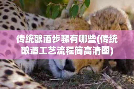 传统酿酒步骤有哪些(传统酿酒工艺流程简高清图)