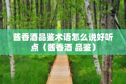 酱香酒品鉴术语怎么说好听点（酱香酒 品鉴）