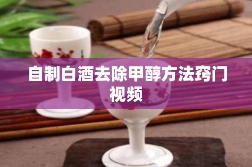 自制白酒去除甲醇方法窍门视频