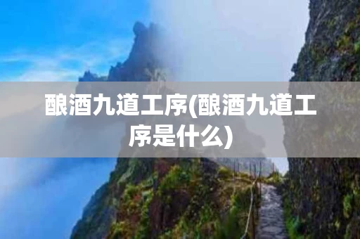 酿酒九道工序(酿酒九道工序是什么)