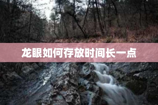 龙眼如何存放时间长一点