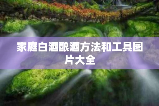 家庭白酒酿酒方法和工具图片大全