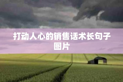 打动人心的销售话术长句子图片