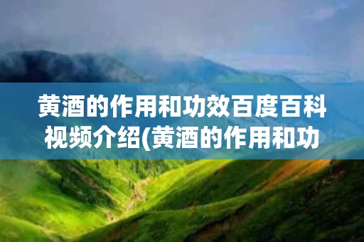 黄酒的作用和功效百度百科视频介绍(黄酒的作用和功效百度百科视频介绍一下)