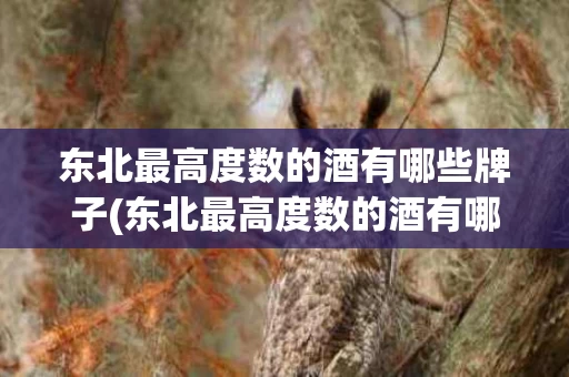 东北最高度数的酒有哪些牌子(东北最高度数的酒有哪些牌子好喝)