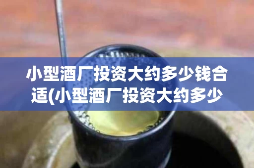 小型酒厂投资大约多少钱合适(小型酒厂投资大约多少钱合适呢)