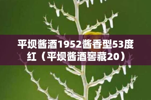 平坝酱酒1952酱香型53度红（平坝酱酒窖藏20）