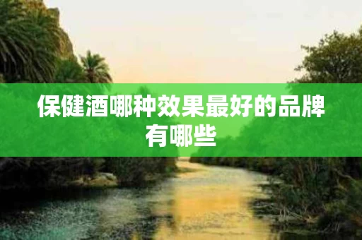保健酒哪种效果最好的品牌有哪些
