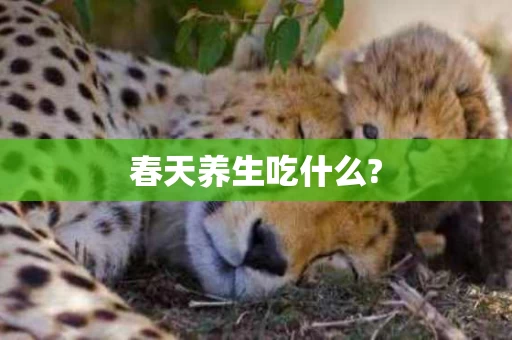 春天养生吃什么?