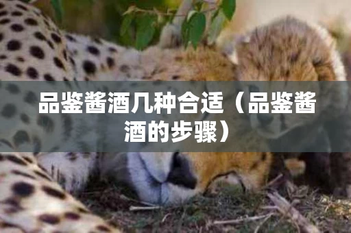 品鉴酱酒几种合适（品鉴酱酒的步骤）