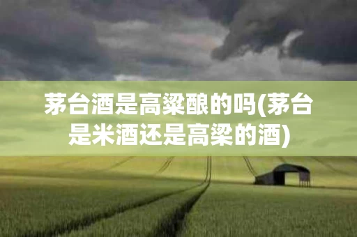 茅台酒是高粱酿的吗(茅台是米酒还是高梁的酒)