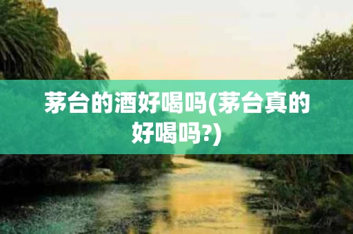茅台的酒好喝吗(茅台真的好喝吗?)