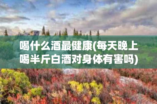 喝什么酒最健康(每天晚上喝半斤白酒对身体有害吗)