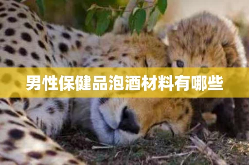 男性保健品泡酒材料有哪些