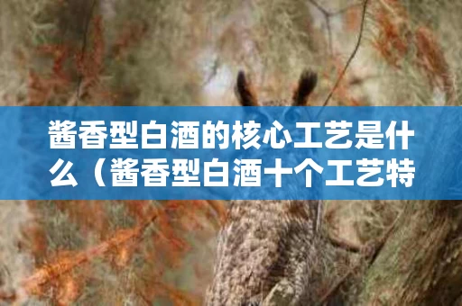 酱香型白酒的核心工艺是什么（酱香型白酒十个工艺特点）