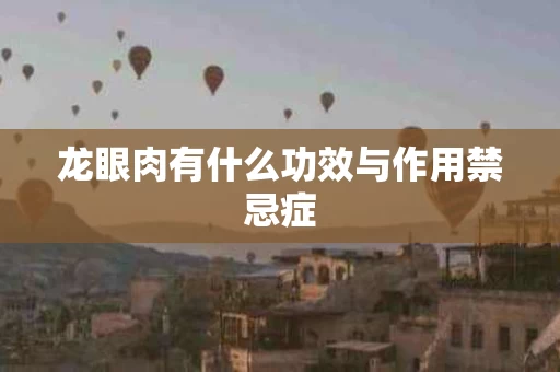 龙眼肉有什么功效与作用禁忌症