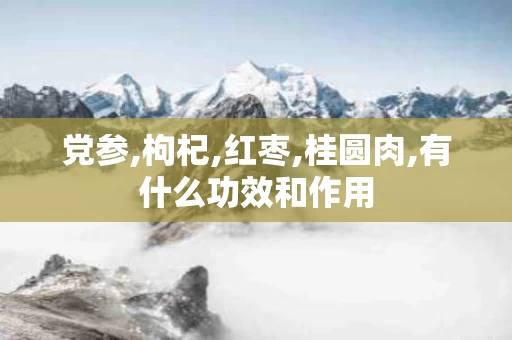 党参,枸杞,红枣,桂圆肉,有什么功效和作用