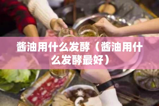 酱油用什么发酵（酱油用什么发酵最好）