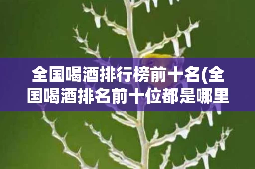全国喝酒排行榜前十名(全国喝酒排名前十位都是哪里)
