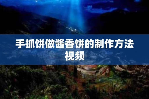 手抓饼做酱香饼的制作方法视频