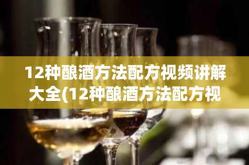 12种酿酒方法配方视频讲解大全(12种酿酒方法配方视频讲解大全图片)