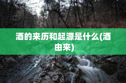酒的来历和起源是什么(酒 由来)