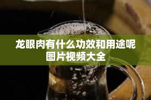 龙眼肉有什么功效和用途呢图片视频大全