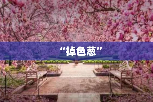 “掉色葱”